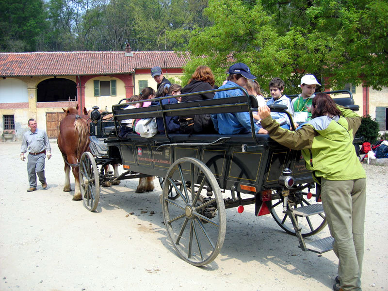 School groups and carriage
