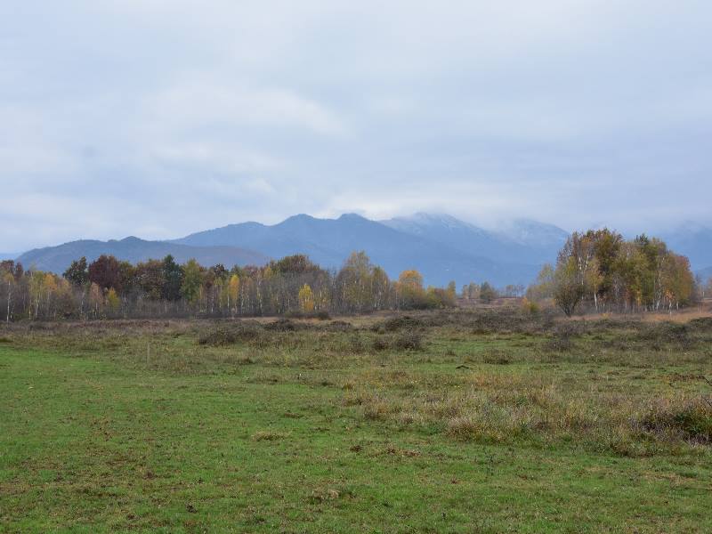 Biobliz nella Riserva naturale della Vauda