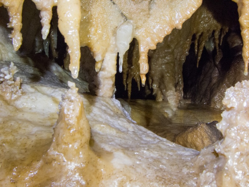particolare grotte